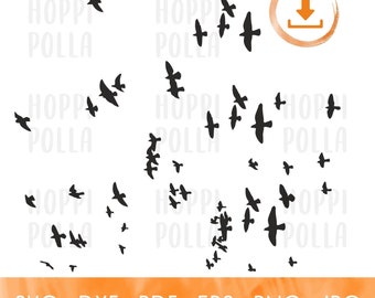 May include: A black and white silhouette of a flock of birds flying in a V formation. The image is on a white background with the text "HOPPI POLLA" repeated in the background.