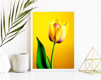 Impression d'art floral tulipe jaune | Décoration d'intérieur moderne (téléchargement numérique)