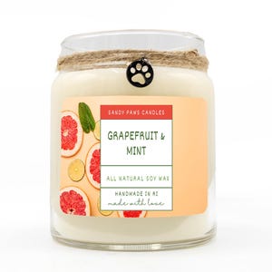 Grapefruit & Mint Soy Wax Candle -paraffin-free, phthalate-free, pet friendly