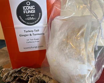 Turkey Tail Mushroom with Ginger and Turmeric Tea Bags (16 count)
