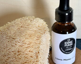 Lions Mane Mushroom Dual Extract Tincture