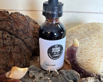 Divine 6 Mushroom Dual Extract Tincture Blend