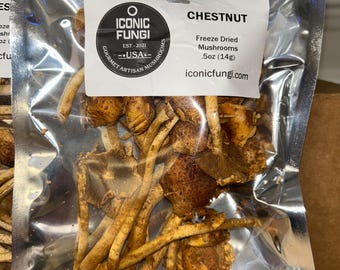Freeze Dried Chestnut Mushrooms