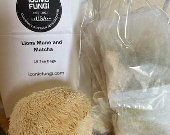 Lions Mane with Matcha Tea Bags (16 count)