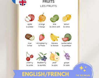 FRUITS FRENCH ENGLISH bilingual poster Instant download Educational Montessori Children Classroom Homeschool Preschool Watercolor