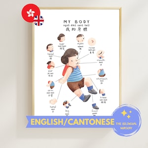Może przedstawiać: Kolorowa ilustracja ciała dziecka z etykietami w języku angielskim i kantońskim. Ilustracja przedstawia głowę, włosy, oczy, nos, usta, uszy, brzuch, ramię, rękę, nogę, stopę i kolano.