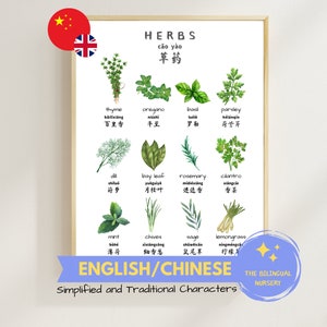 Herbs Chinese English poster bilingual herbs poster educational kids kitchen wall art digital download learning printable