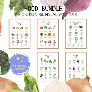 Food Bundle 5 poster pack ENGLISH/CHINESE Simplified Bilingual food and Drinks poster Kitchen poster herbs poster mandarin Chinese kids