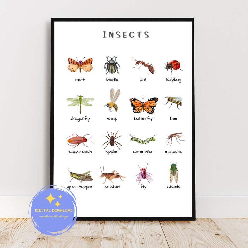 Jerry Insect In English Insects ENGLISH Poster Instant Download Montessori Kids Children ...