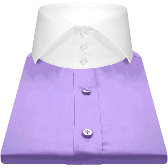 men's lavender dress shirt Amanti CL1006-22x34-35 Mens Wrinkle Free professional appearance Mauro Long Sleeve Casual Dress