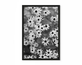 BLACK-EYED | Black & White Wildflower Wall Art Print, Daisy Photography, Botanical Nature Decor