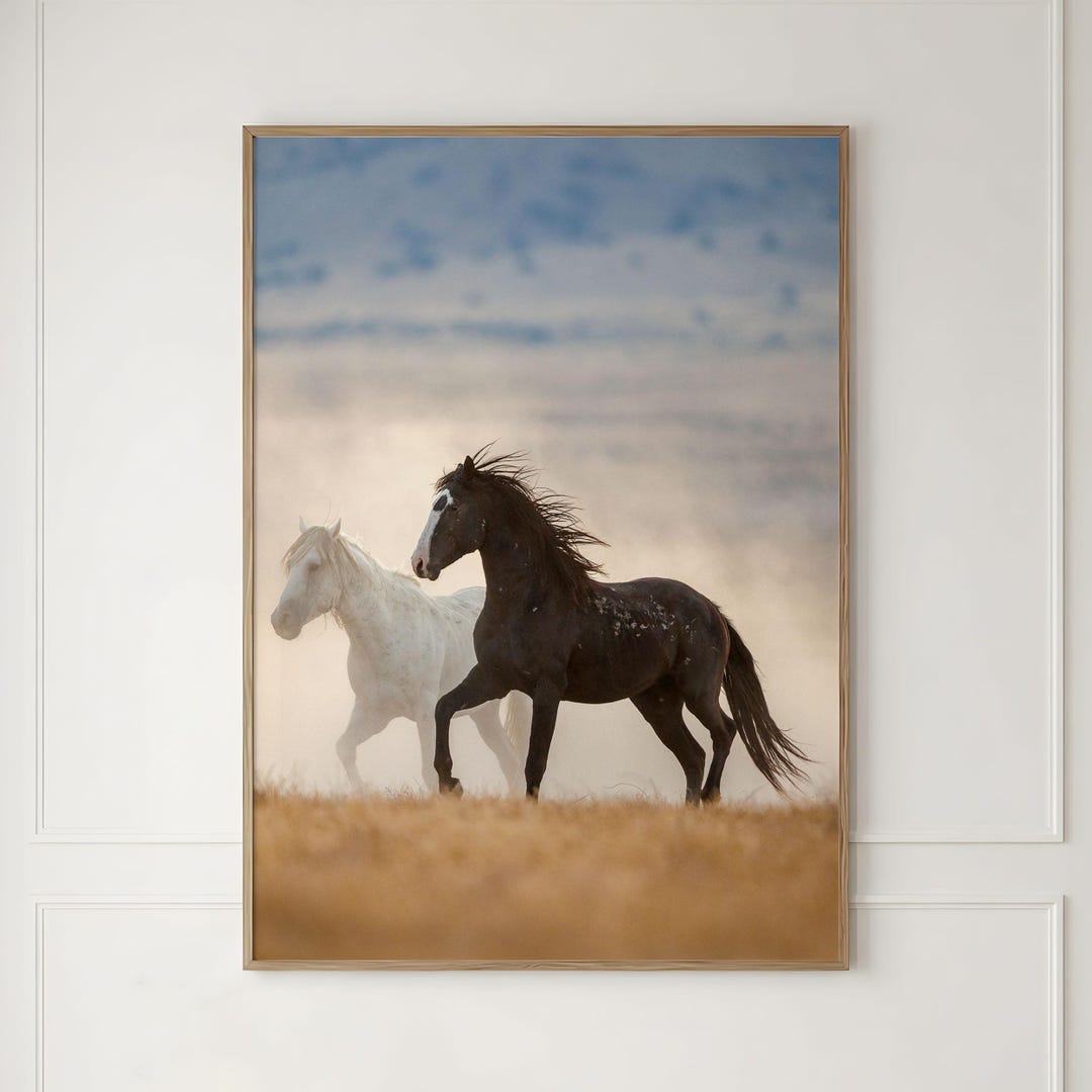 Running Wild Mustang Photography Print – Black and White Horses Western ...