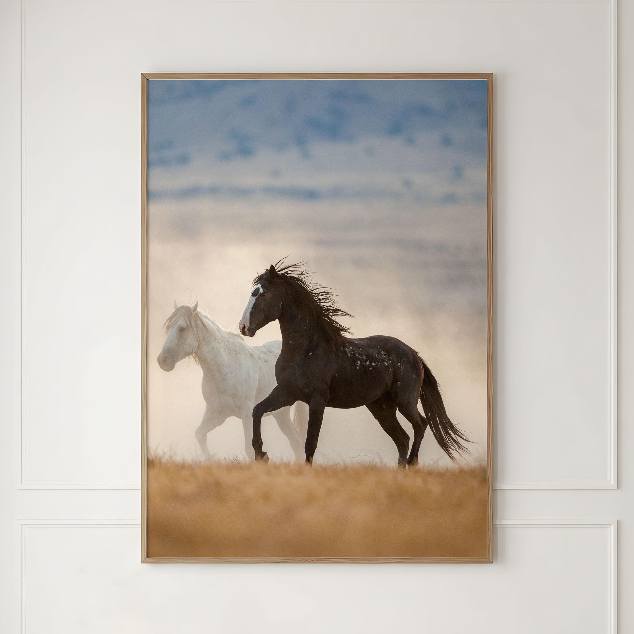 Running Wild Mustang Photography Print – Black and White Horses Western ...