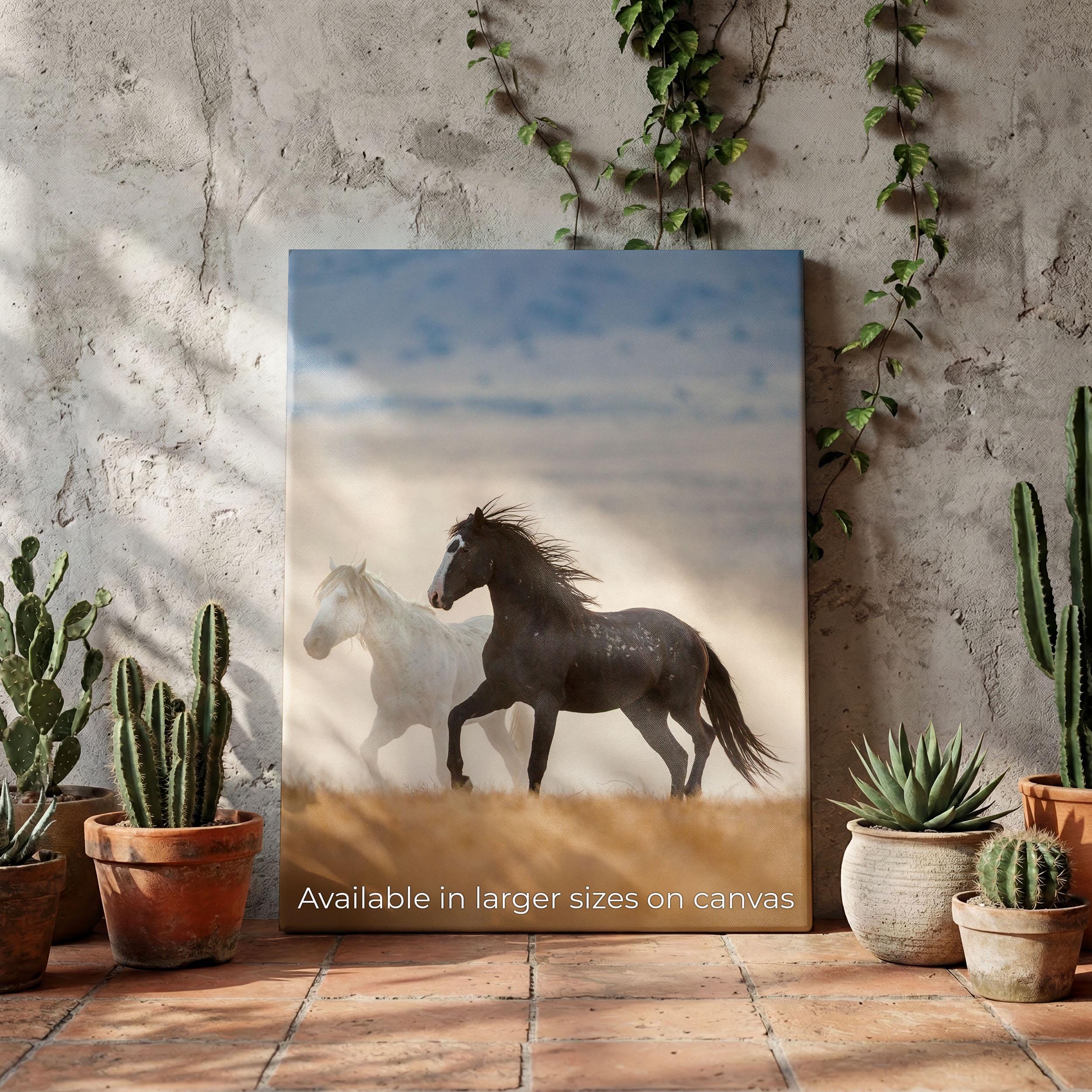 Running Wild Mustang Photography Print – Black and White Horses Western ...