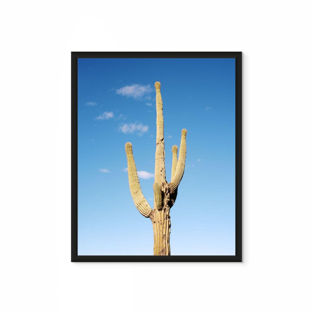 Saguaro Cactus Desert Photography Print Minimalist Southwest Wall Art ...