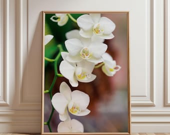 White Orchid Flower Photography Print Botanical Wall Art Minimal Nature Decor | MADE WHITE