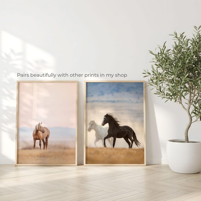 Running Wild Mustang Photography Print – Black and White Horses Western ...