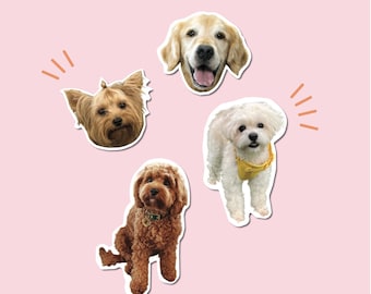 Custom Pet Stickers, Custom Pet Photo Stickers, Custom Dog Stickers, Water Bottle Stickers, FREE SHIPPING!