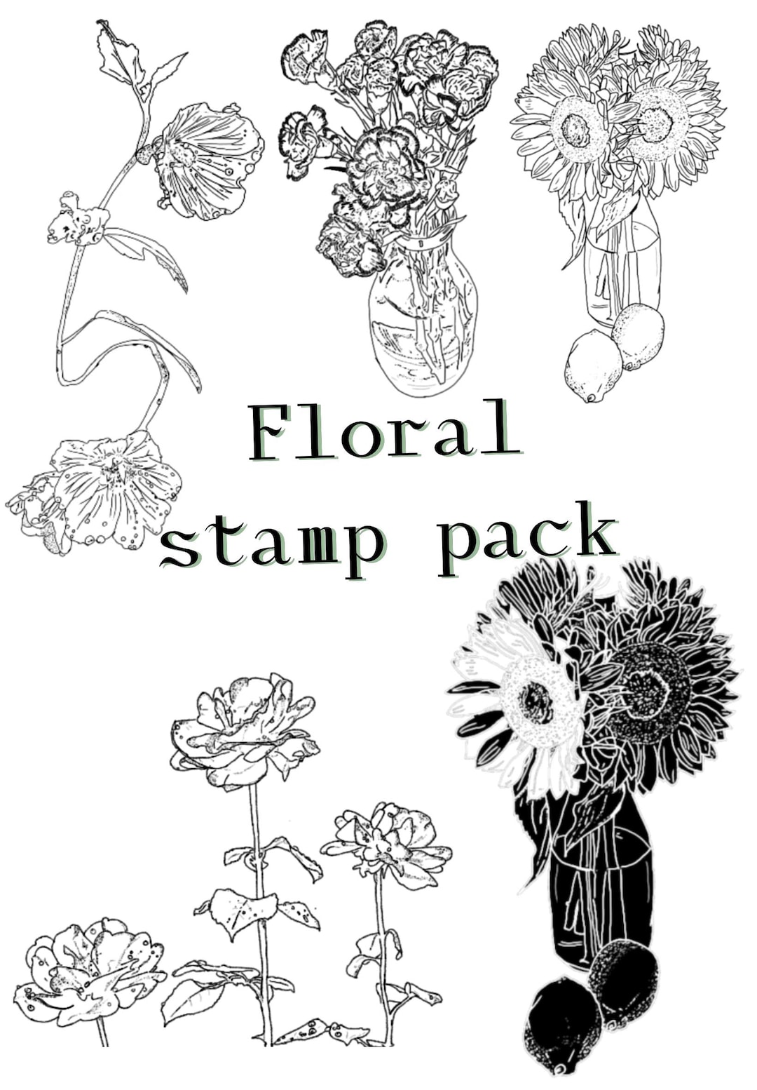 Botanical Procreate Stamps - Hand Drawn Floral Outlines (canva ...