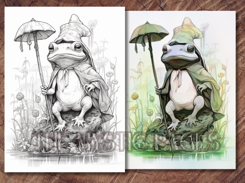 Pode incluir: Um desenho a preto e branco de um sapo a usar um chap&eacute;u e a segurar um guarda-chuva. O sapo est&aacute; sentado numa pedra num lago.