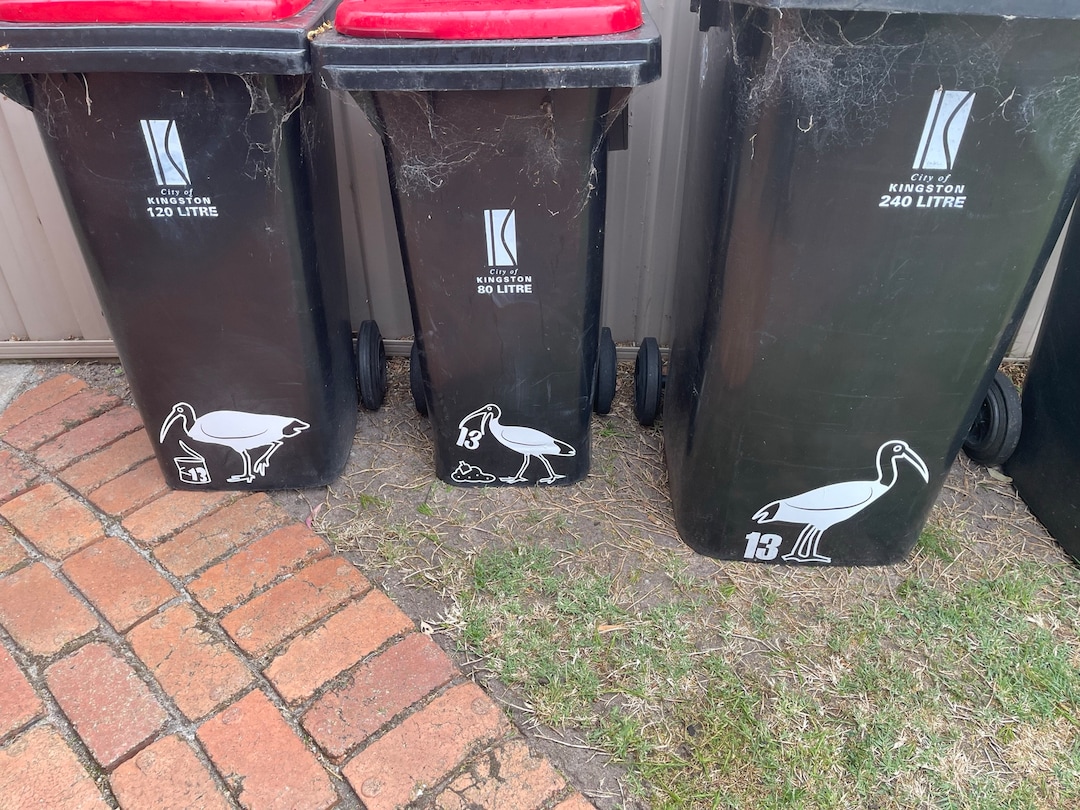 Bin Chicken Family SVG File Cut It Out and Stick It on Your Bin. Three