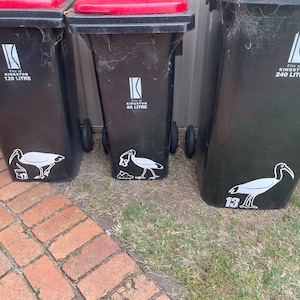 Bin Chicken Family SVG File - Découpez-le et collez-le sur votre bac. Trois oiseaux dans des poses différentes