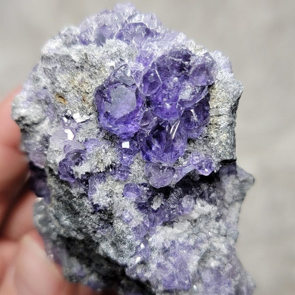 RARE Tanzanite Fluorite Crystal Cluster on Matrix - Gem Quality - Purple Blue Fluorite Crystal Specimen