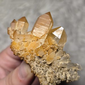 May include: A cluster of golden-brown quartz crystals with sharp, pointed terminations. The crystals are set on a rough, textured matrix of a lighter brown color. The overall appearance is natural and earthy, showcasing the beauty of raw minerals.