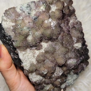 Puede incluir: Espécimen de fluorita en bruto con una mezcla de colores. El mineral presenta grupos de formaciones redondeadas, moradas oscuras y marrones, contrastadas por zonas blancas y verde pálido. La base es una roca oscura, casi negra.