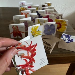 Lot de 25 mini cartes de vœux. Respectueux de l'environnement. Blanc à l'intérieur. Fleurs sauvages originaires du nord-ouest du Pacifique. Papier cartonné et enveloppes 100 % recyclés PCW.