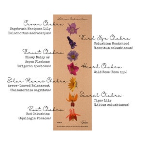 Esterilla de yoga de corcho con diseño de flores silvestres (Deja que tus chakras florezcan) imagen 2