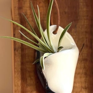 Puede incluir: Un macetero de cerámica blanco con un esmalte negro en la parte inferior, con forma de hoja doblada. El macetero está colgado de un cordón de cuero marrón y tiene una pequeña planta de aire en su interior.
