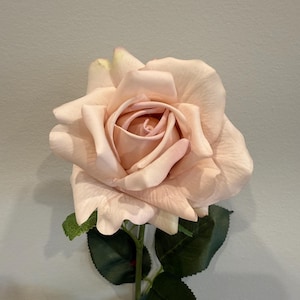 Pink Real Touch Rose - Single Stems - Premium Artificial Flowers for Elegant Decor