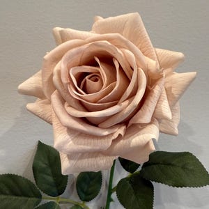 Sand -  Real Touch Rose - Single Stems - Premium Artificial Flowers for Elegant Decor