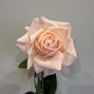 Blush Real Touch Rose - Single Stems - Premium Artificial Flowers for Elegant Decor