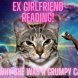 Lectura psíquica de ex novia / ¡Olvídate de esa dama! ¡Por qué ella fue TERRIBLE PARA TI! De su amigo, el Sr. Fluffy Pants
