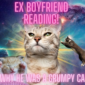 May include: A humorous meme with a grumpy-looking cat in a space-themed background. The text reads "Ex Boyfriend Reading! Why he was a grumpy cat."