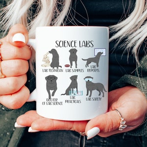 Science Labs Dog Mug, Cute Funny Dog Lover Scientist Science Teacher Gift, Lab Retriever Gift, Funny Lab Dog Lover Mug for Science Teacher