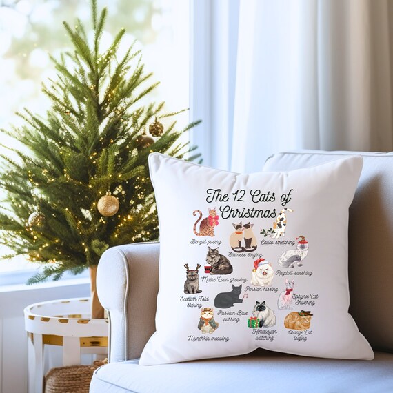 Santa top claws pillow