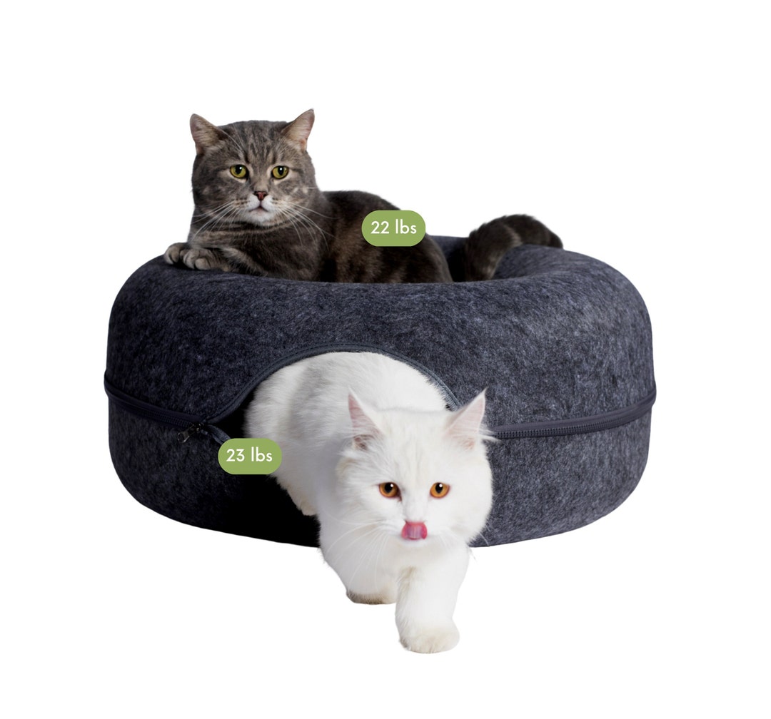 CATTASAURUS Peekaboo Cat Cave dark Gray, Cat Donut, Cat Cave, Cat