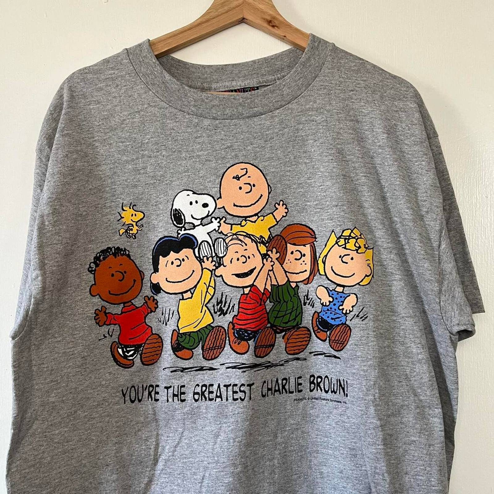 Discover Vintage 90s DS peanuts charlie brown charles schulze tee
