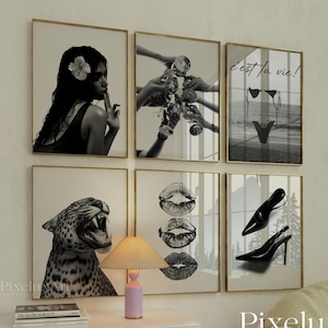 May include: Six framed black and white art prints. The prints depict a woman, hands toasting, the phrase "c'est la vie", a leopard, lips, and high heels. The prints are displayed above a white cabinet with a lamp.
