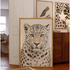 May include: A framed print of a leopard's face with a light beige background. The leopard has black spots and light blue eyes. Two other framed prints are visible in the background, one with a leopard print and a star, and another with a shoe print.