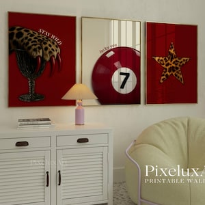 May include: Three framed wall art prints. One shows a leopard paw in a glass with the text "STAY WILD". Another features a red billiard ball with the number 7. The last print has a leopard print star.