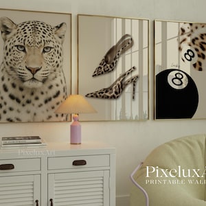 May include: Three framed wall art prints. The first features a leopard's face. The second shows high-heeled shoes with a leopard print. The third displays a black eight-ball with the number 8 and the word "Lucky".