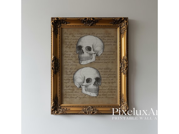 Vintage Skull Wall Art