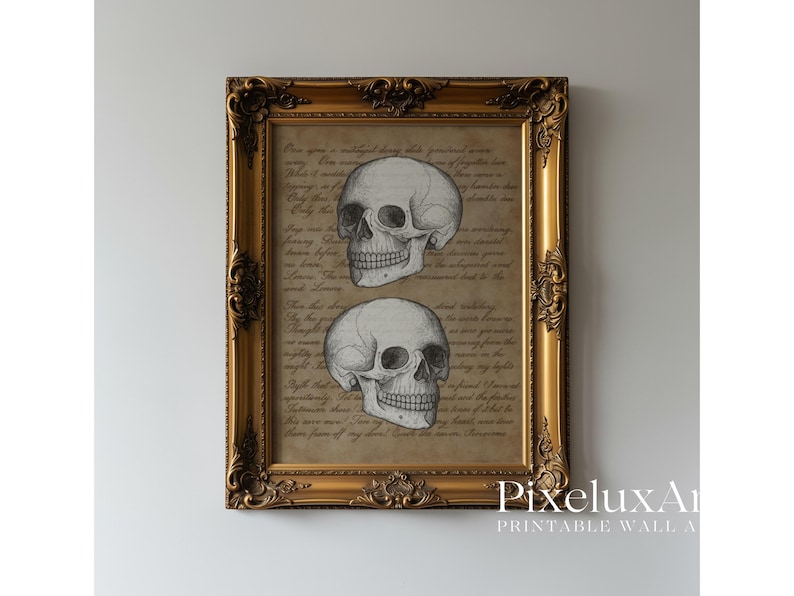 Vintage Skull Wall Art