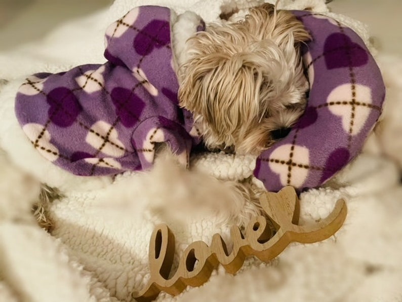 Luxus Hundebekleidung Haustierkleidung Hundemantel Welpen Fleece Hoodie Hundepullover Hundemantel Bild 2