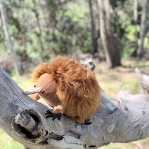 May include: A plush kiwi bird toy with brown fur and a long beak, perched on a weathered tree branch. The toy has black feet and is set against a blurred background of trees and foliage, suggesting an outdoor setting.