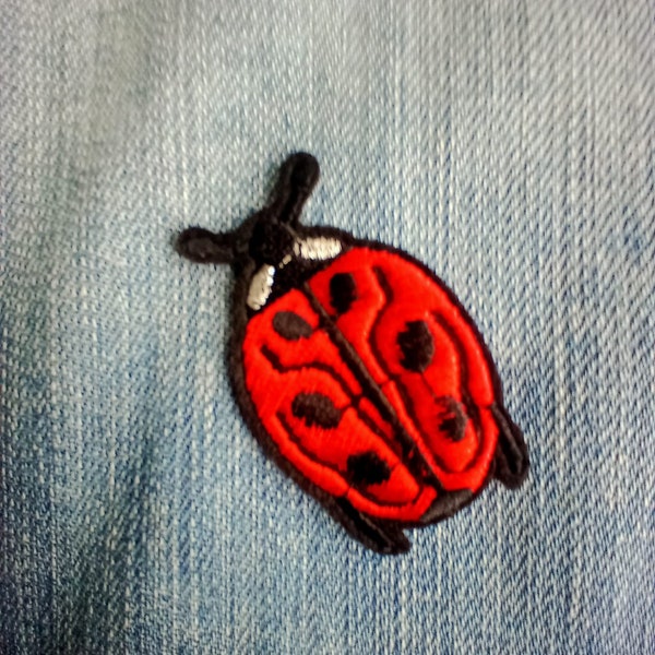 Patch coccinelle